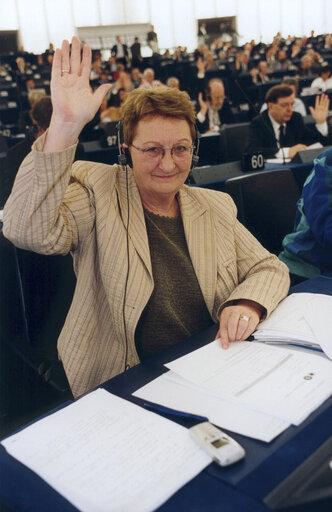 Zdjęcie 3: Nelly MAES in Plenary Session in Strasbourg.