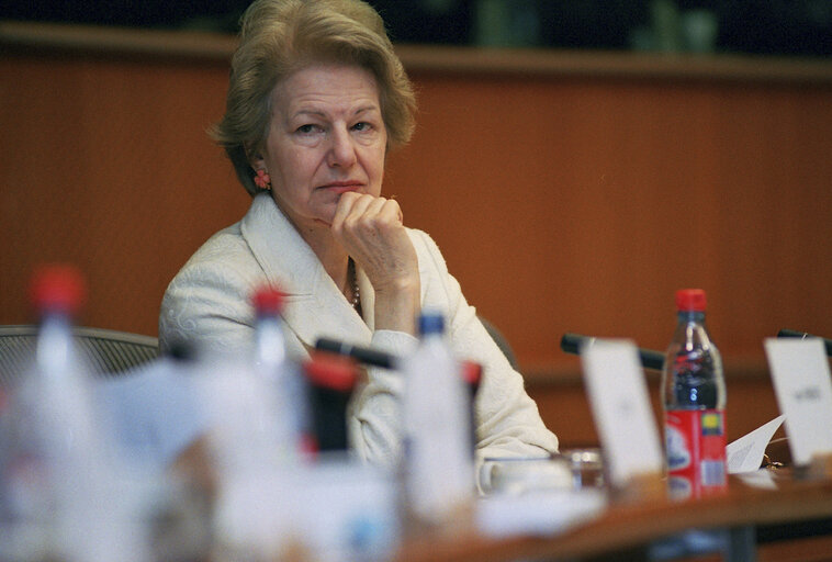 Foto 34: Visit of the Foreign Affairs Minister of the Palestinian Authority to the EP.