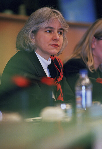 Fotografie 2: Elisabeth SCHROEDTER at the EP in Strasbourg.