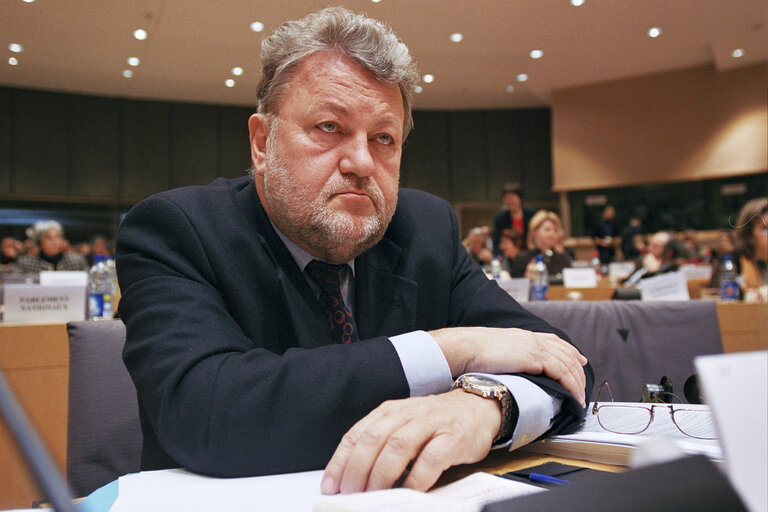 Photo 2: MEP in a meeting at the EP in Brussels