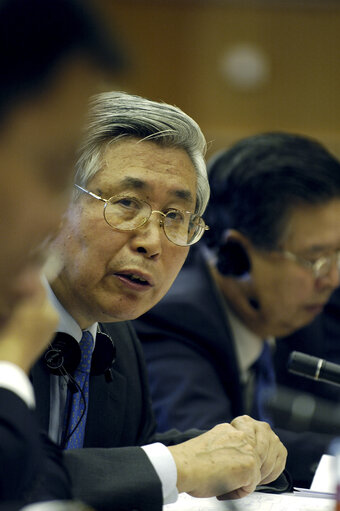 Fotografija 6: EP - China meeting with a Member of the Standing Committee of the National People's Congress.