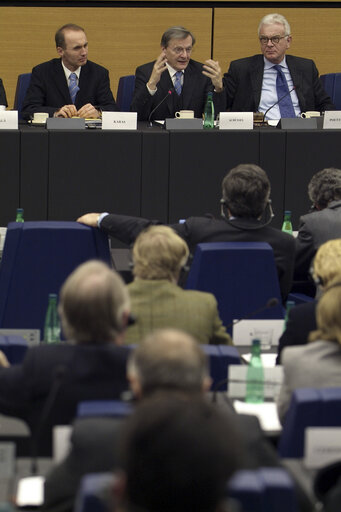 Fotografija 16: The Federal Chancellor of Austria in a meeting at the EP in Strasbourg.