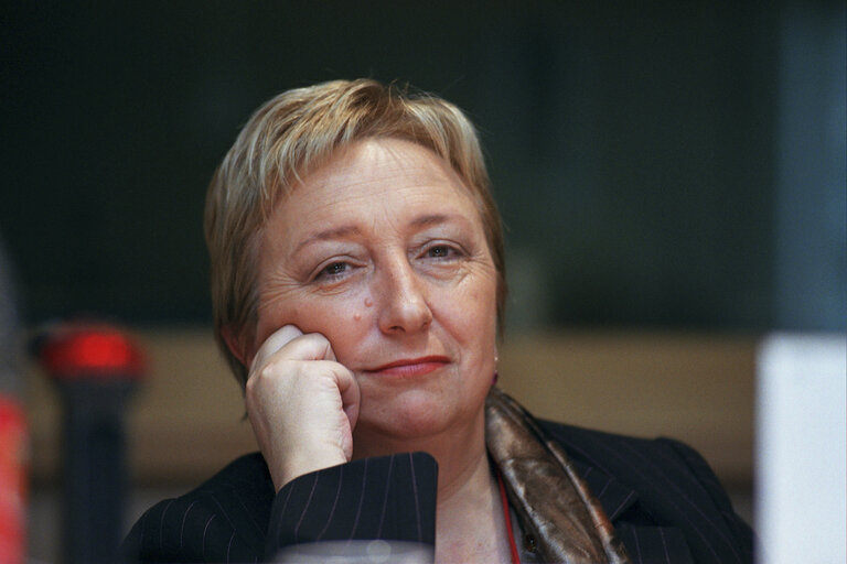 MEP in a meeting at the EP in Brussels