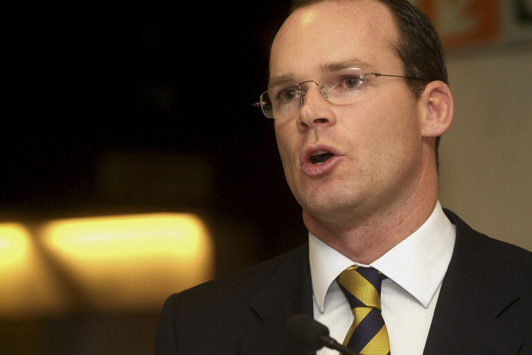 Simon COVENEY at the EP in Brussels