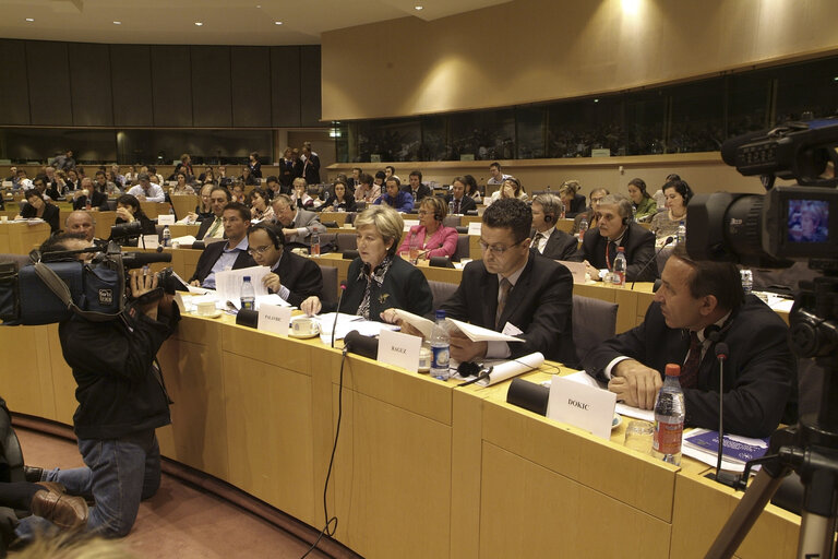 Fotografi 4: AFET Committee public hearing on the Dayton Agreement - Ten years after.