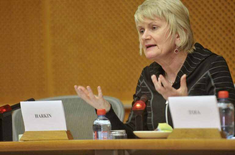 ALDE meeting on Social Economy.