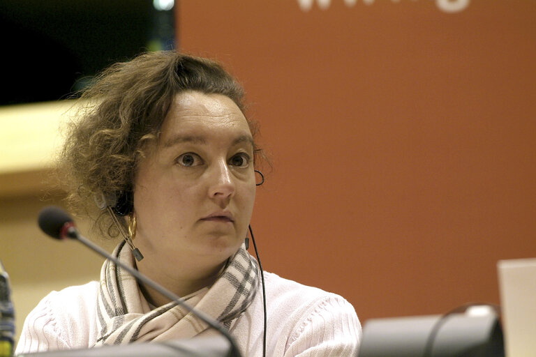 Foto 2: Kartika Tamara LIOTARD in a meeting at the EP in Brussels.