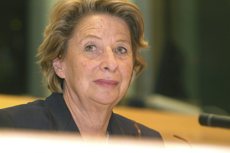 Foto 1: Ursula STENZEL in a meeting at the EP in Brussels.