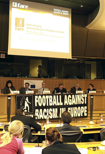 Foto 3: LIBE Committee meeting: Football Against Racism in Europe.