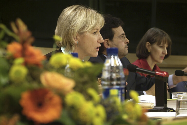 Photo 8 : Press conference on the European Environment: State and Outlook 2005, with the Commissioner for Institutional Relations and Communication Strategy and the Director of the European Environment Agency.