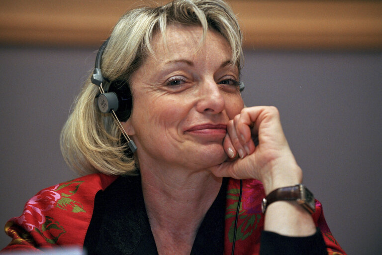 Photo 16: MEP in a meeting at the EP in Brussels