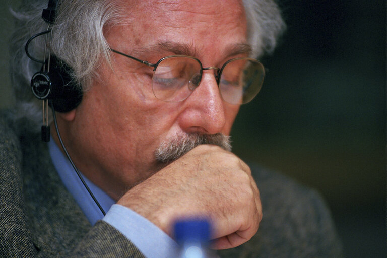 MEP in a meeting at the EP in Brussels