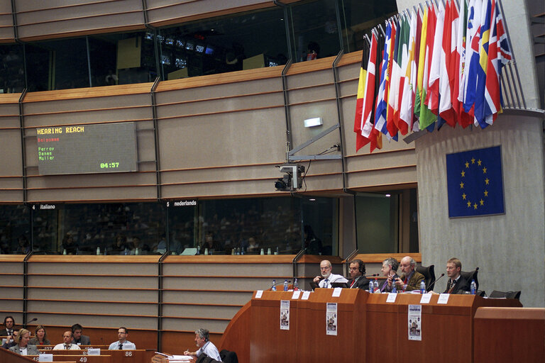 Photo 8: ENVI Committee meeting on the new REACH legislation.