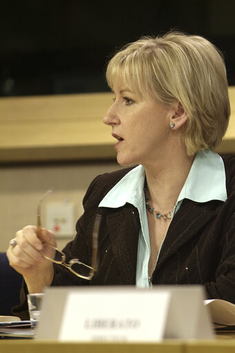 Photo 7 : Press conference on the European Environment: State and Outlook 2005, with the Commissioner for Institutional Relations and Communication Strategy and the Director of the European Environment Agency.