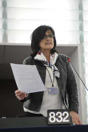 Fotografie 45: Plenary Session in Strasbourg - Week 11 - 2012