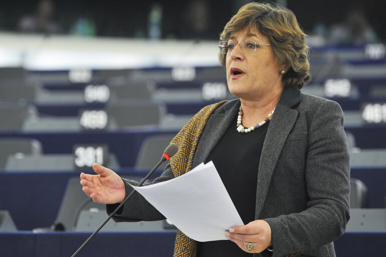 Plenary Session in Strasbourg - Week 7 - 2012