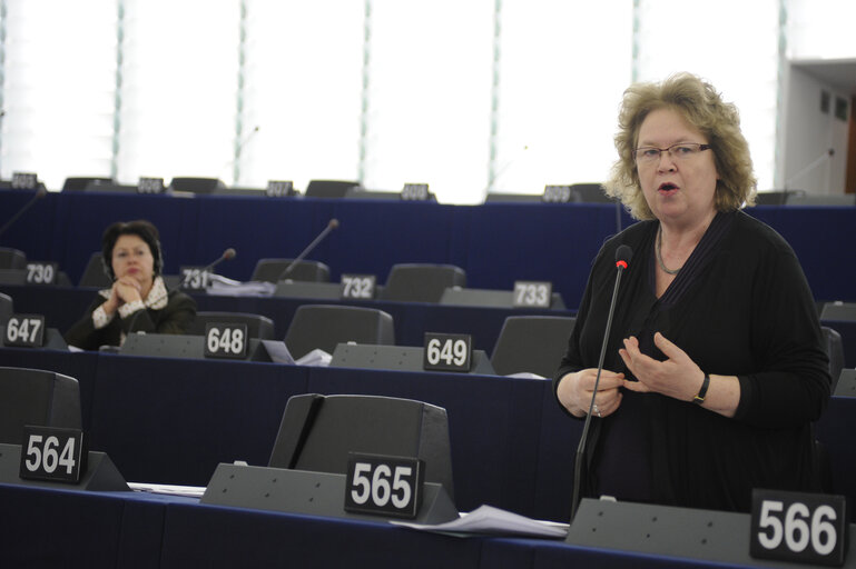 Plenary Session in Strasbourg - Week 11 - 2012