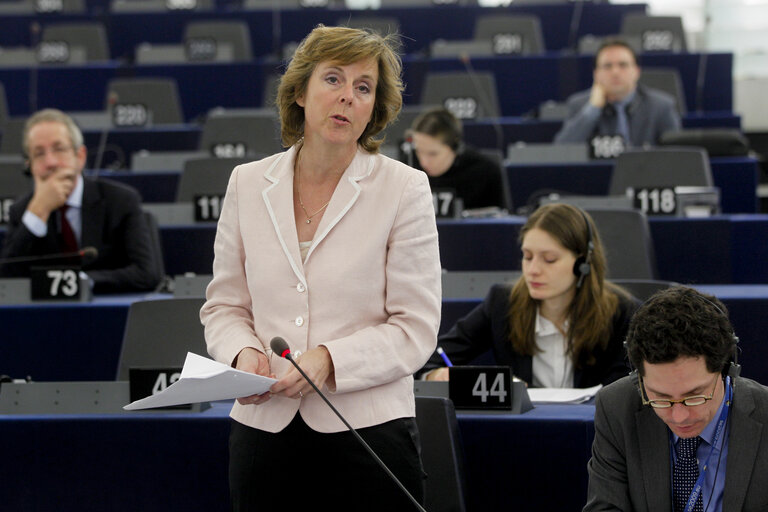 Foto 39: Plenary Session in Strasbourg - Week 11 - 2012