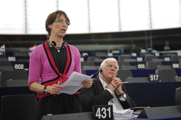 Plenary Session in Strasbourg - Week 11 - 2012