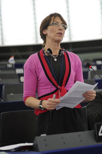 Photo 33: Plenary Session in Strasbourg - Week 11 - 2012