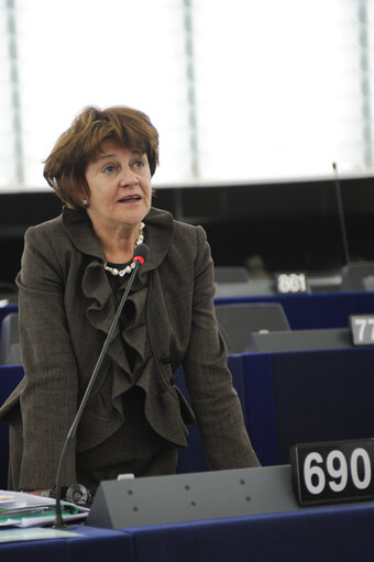 Plenary Session in Strasbourg - Week 11 - 2012