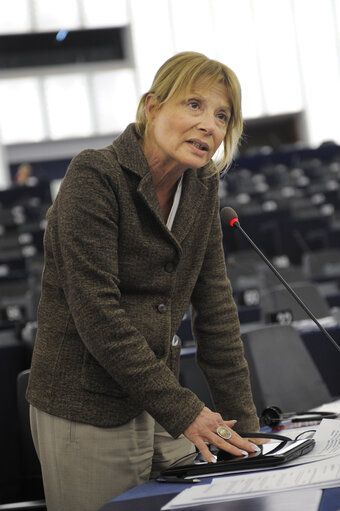 Photo 37 : Plenary Session in Strasbourg - Week 11 - 2012