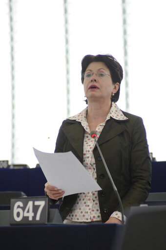 Plenary Session in Strasbourg - Week 11 - 2012