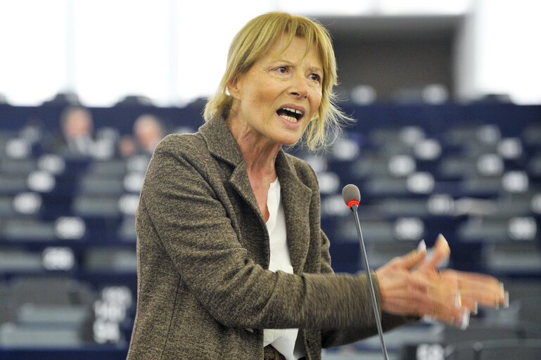 Plenary Session in Strasbourg - Week 7 - 2012