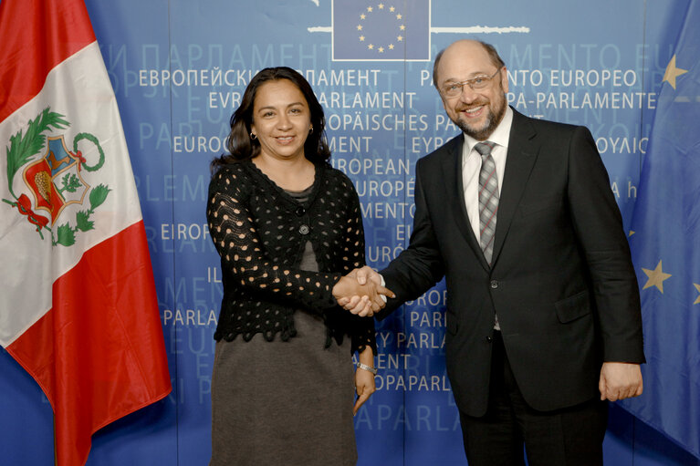 Fotografia 3: EP President meets with Vice-President of Peru