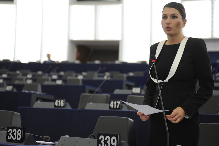 Plenary Session in Strasbourg - Week 11 - 2012