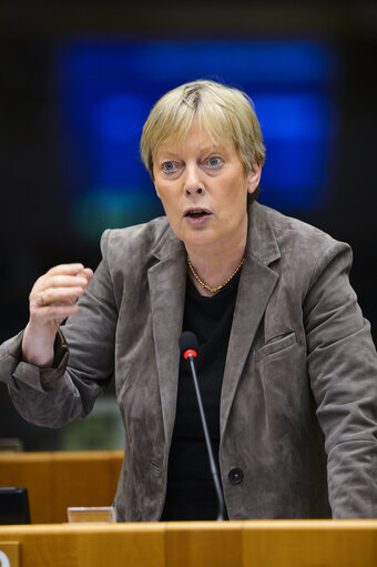 Fotografie 44: Plenary Session in Brussels - Week 13