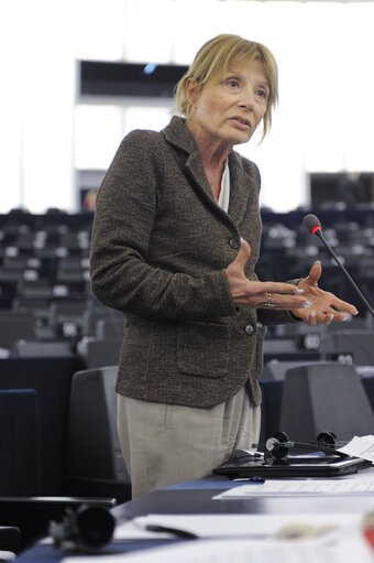 Plenary Session in Strasbourg - Week 11 - 2012