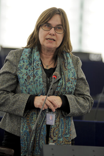 Plenary Session in Strasbourg - Week 7 - 2012