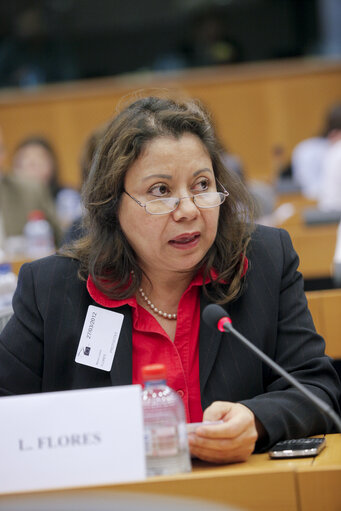 Photo 4 : INTA Committee hearing on the EU-Central America Trade and economic prospects of the Association Agreement