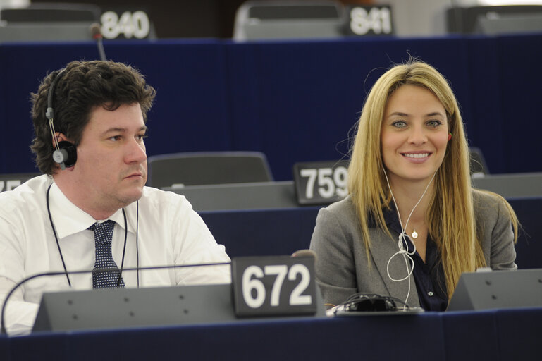 Снимка 20: Plenary Session in Strasbourg - Week 7 - 2012