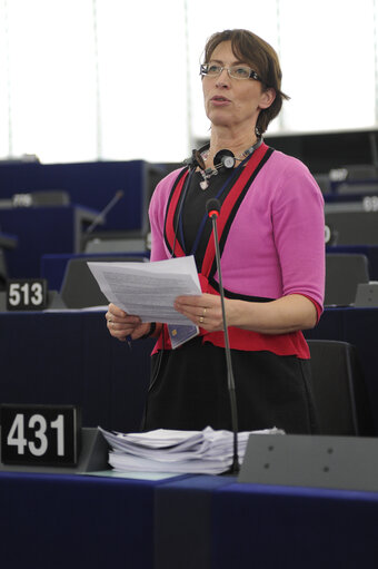 Plenary Session in Strasbourg - Week 11 - 2012