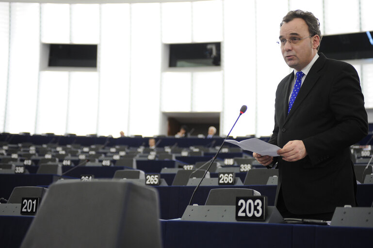 Photo 13 : Plenary Session in Strasbourg - Week 11 - 2012