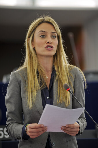 Снимка 27: Plenary Session in Strasbourg - Week 7 - 2012