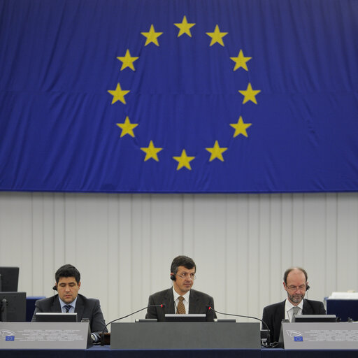 Plenary Session in Strasbourg - Week 7 - 2012