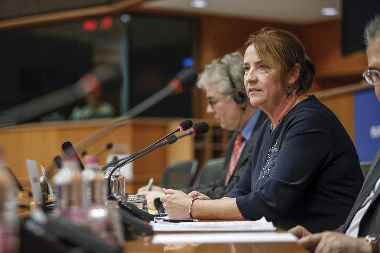 Photo 11: 13th EU-Uzbekistan Parliamentary Cooperation Committee