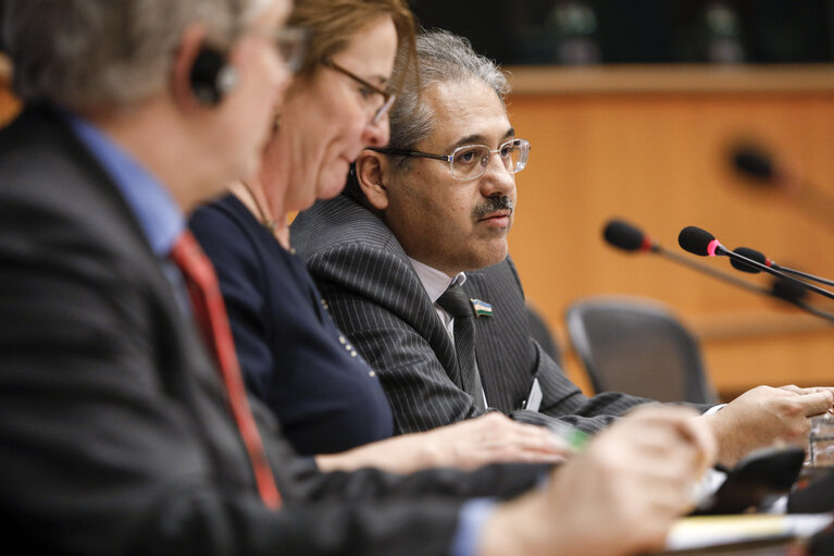 Fotografia 1: 13th EU-Uzbekistan Parliamentary Cooperation Committee