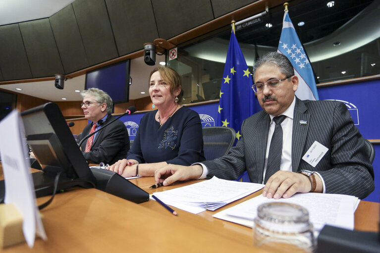 Fotografia 16: 13th EU-Uzbekistan Parliamentary Cooperation Committee