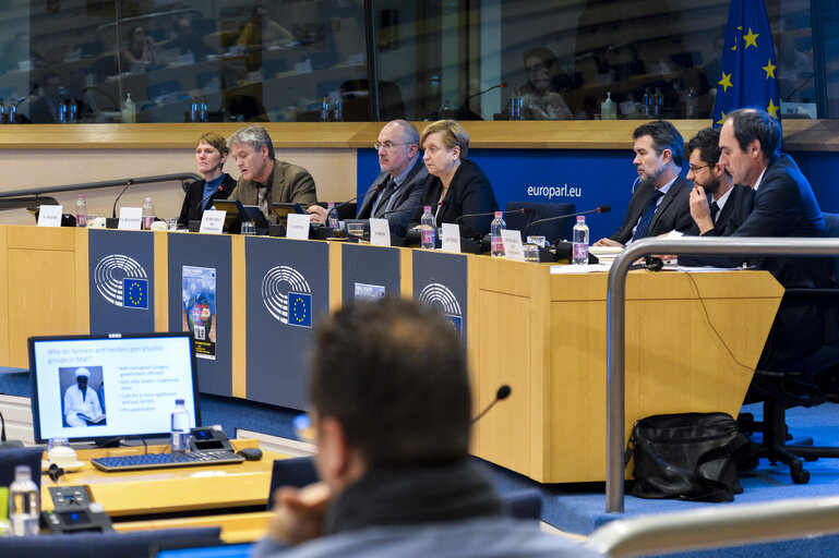 AFET/SEDE Public Hearing : ' The security dimension of climate change - what implications for EU Common Security and Defense Policy '