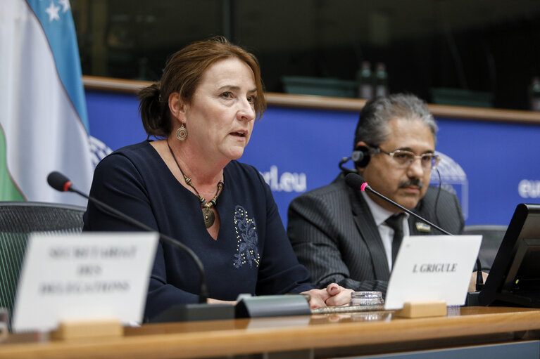 Fotografia 7: 13th EU-Uzbekistan Parliamentary Cooperation Committee