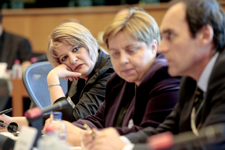 Foto 10: AFET Hearing on the future financing of enlargement