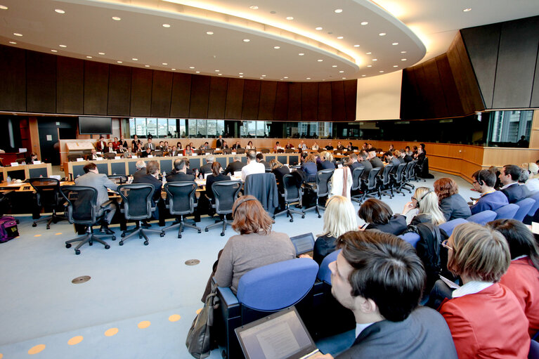 Fotagrafa 4: AFET Hearing on the future financing of enlargement