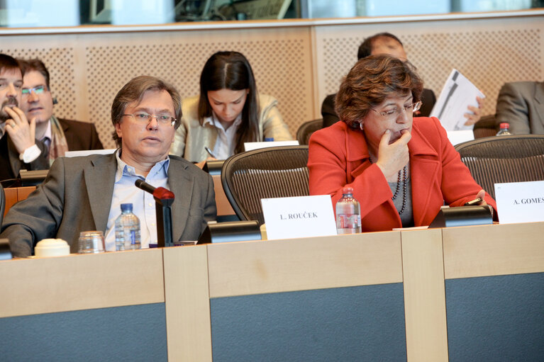 Foto 8: AFET Hearing on the future financing of enlargement