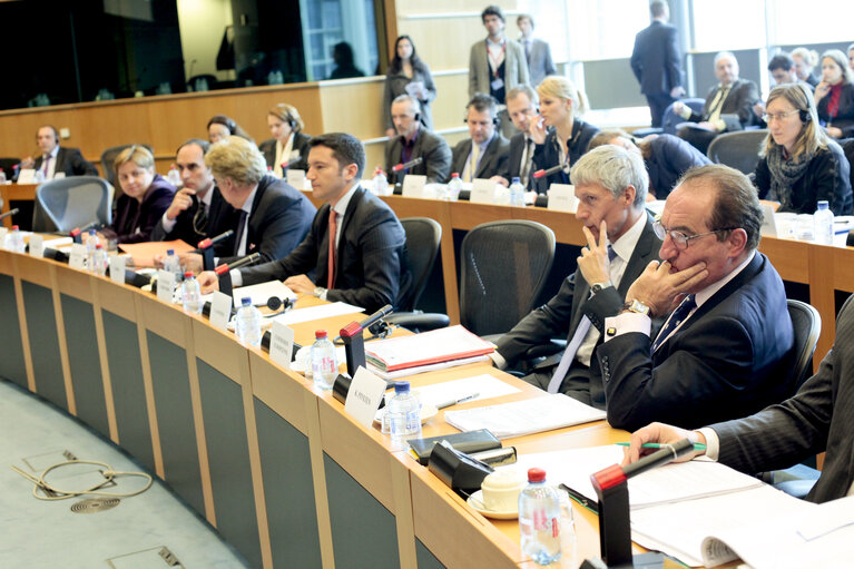 Fotagrafa 17: AFET Hearing on the future financing of enlargement