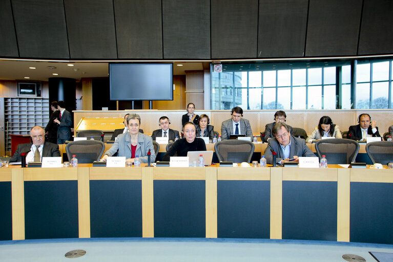 Fotagrafa 14: AFET Hearing on the future financing of enlargement