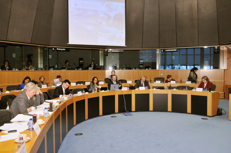 Foto 18: Joint parliamentary committee meeting EU - Mexico.